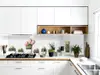 Autocolant perete bucătărie Cactus, Folina, model orizontal, rolă de 67x200 cm, cu racletă şi cutter incluse
