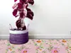 Covor antiderapant pentru hol și terasă, din pvc, model floral watercolor, linoleum antiderapant la rolă de 80x158 cm.