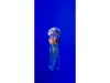 Folie cabină duş, Folina, model meduză, albastră, folie autoadezivă cu efect de sablare, 100x210 cm