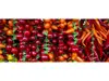 Autocolant perete Pepperoni, Folina, 200x80cm