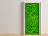 Autocolant uşă Trifoi, Folina, culoare verde, dimensiune autocolant 92x205 cm