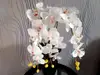 Flori artificiale, Folina, aranjament orhidee albă în vas ceramic negru Parma, 75 cm înălţime