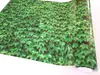 Autocolant decorativ Iederă verde, Folina, rolă de 80x400 cm