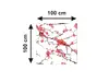 Autocolant blat masă, model cireș japonez, 100 x 100 cm, racletă inclusă