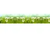 Autocolant decorativ Margarete, Folina, model floral, verde, 80x400 cm