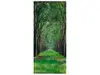 Autocolant uşă Natură, Folina, culoare verde, rolă de  92x205 cm