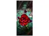 Autocolant uşă Trandafir roşu, Folina, model floral, dimensiune autocolant 92x205 cm