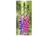 Autocolant uşă Clopoței mov, Folina, model floral, dimensiune autocolant 92x205 cm