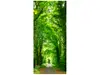 Autocolant uşă Drum prin pădure, Folina, culoare verde, dimensiune autocolant 92x205 cm