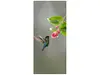 Autocolant uşă Pasăre Colibri, Folina, model cu peisaj, dimensiune autocolant 92x205 cm