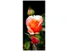 Autocolant uşă Trandafir cu boboci, Folina, model multicolor, dimensiune autocolant 92x205 cm