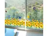 Sticker Floarea soarelui, Folina, bordură autoadezivă, 130 cm