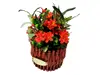 Coş din lemn maro roşiatic, cu flori artifciale roşii, 30 cm