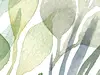 Fototapet floral Breeze, Komar, alb cu frunze stilizate în nuanţe de verde, 350x250 cm