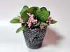 Flori artificiale, Folina, aranjament cu plante verzi şi stamine roz în vas ceramic gri