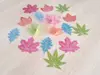 Sticker Frunze colorate, Folina, multicolor, set 16 bucăți