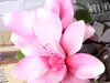 Magnolie artificială roz, 80 cm înălţime