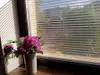 Folie geam autoadezivă Office Iridium Silver, Folina, transparenta cu  dungi argintii, 152 cm lăţime