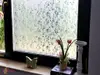 Folie geam autoadezivă, Folina, sablare cu model crenguţe înflorite translucide, 120 cm lăţime