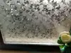 Folie geam autoadezivă frunze translucide, Folina, 120 cm lăţime
