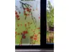 Folie geam autoadezivă Hannah, Folina, model floral rosu, rolă de 100x100 cm