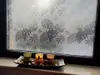Folie geam autoadezivă Mirena, Folina, model tropical gri, 100 cm lăţime