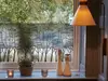 Folie geam autoadezivă, sablare tip bordură decorativă cu model pădure minimalistă, rolă de 45x200 cm, racletă de aplicare inclusă