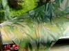 Folie geam autoadezivă Olives, Folina, model maslin verde, 100 cm lăţime