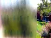 Folie geam autoadezivă Pearsall, Folina, model elegant multicolor, 100 cm lăţime