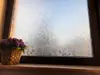 Folie geam autoadeziva Camelia, Folina, model floral, rola de 120x280 cm