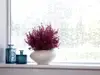 Folie geam autoadezivă Arlo, cu model geometric alb pe fundal transparent, rolă de 75x300 cm