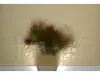 Folie geam autoadezivă Smoke bej, d-c-fix, translucidă, rolă de 90x100 cm