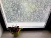 Folie geam electrostatică Candice, d-c-fix, imprimeu floral, translucid, 45 x 150 cm