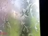Folie geam autoadezivă, Folina, sablare cu model floral clasic, 120 cm lăţime