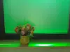 Folie geam sablat ColourEtched, Aslan, uni, verde, lățime 122 cm