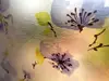 Folie geam autoadezivă Ume, sablare cu flori mov, 90 cm latime