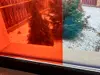 Folie geam electrostatică Penstick, Molco, transparentă, roşie, lățime 100 cm