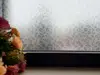 Folie geam autoadezivă Cleo, Folina, sablare cu model floral gri, 100 cm lăţime