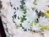 Folie geam autoadezivă frunze albe, Folina, 152 cm lăţime