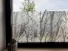 Folie geam electrostatică Wood, d-c-fix, imprimeu alb-negru, translucid, 67x200 cm