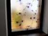 Folie geam autoadezivă Ume, sablare cu flori mov, 90 cm latime