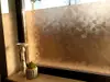 Folie geam fumurie Torin, Folina, autoadezivă, translucidă,120x250 cm 