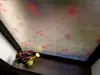 Folie geam autoadezivă Veti, Folina, model floral roşu, rola 90x200 cm 