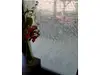 Folie geam autoadezivă Arlo, cu model geometric alb pe fundal transparent, rolă de 75x300 cm