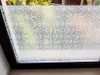 Folie geam autoadezivă Alba, Alkor, imprimeu clasic,rolă de 67x100 cm