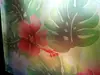 Folie geam autoadezivă Tropical, MagicFix, model floral exotic, rola de 100x160 cm 