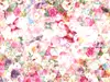 Fototapet Prisma, Komar, multicolor, 368x248 cm