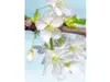 Fototapet flori albe Blossom, Komar, model floral, dimensiune fototapet 184x248 cm