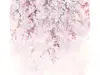 Fototapet floral roz Cherry Blossom, Komar, print digital, 300x280 cm