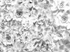 Fototapet floral gri Shades, Komar, 400x250 cm